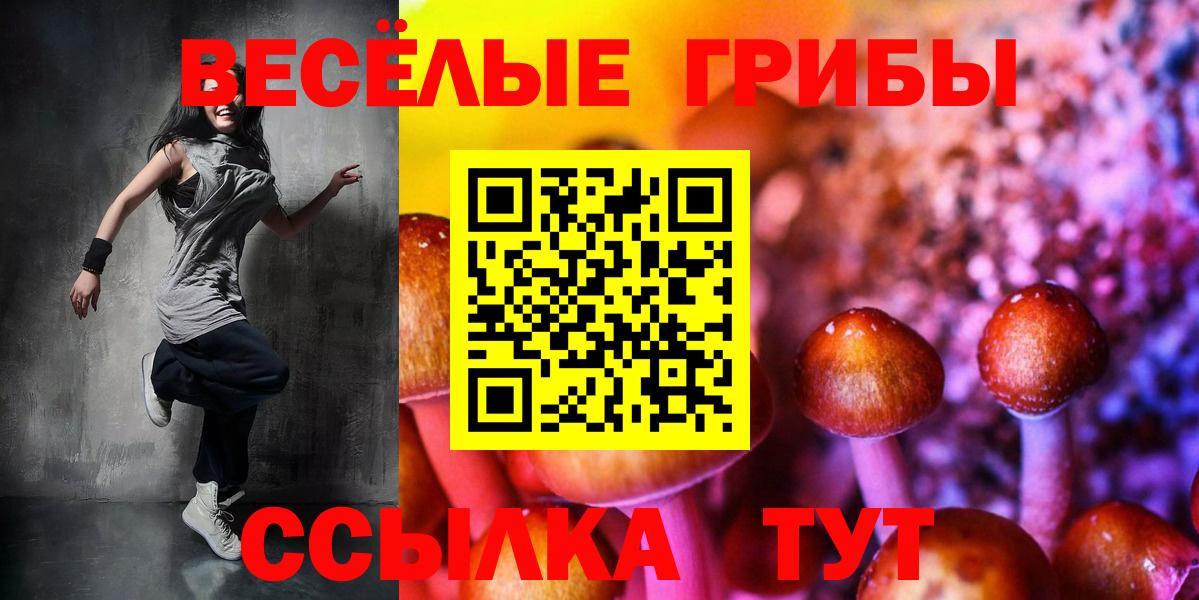 Галлюциногенные грибы Cubensis Рузаевка